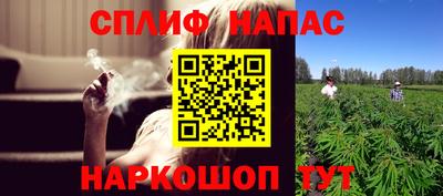 индика Моздок