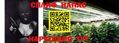 тгк Можга