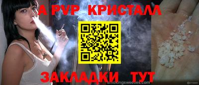индика Моздок