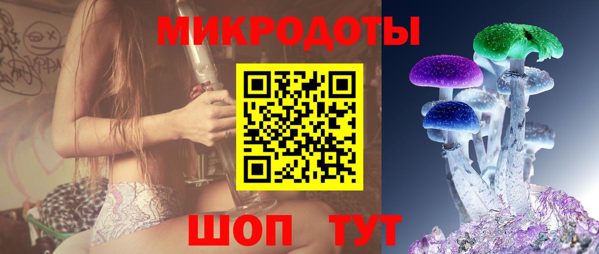 Ульяновск  Галлюциногенные грибы Psilocybe  Вход с VPN 